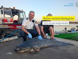 mittelfranken: fünf badegäste gebissen: polizist erschießt zwei-meter-fisch