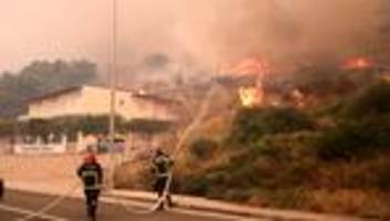 feuerwehr : urlauber fliehen vor bränden in kroatien und griechenland