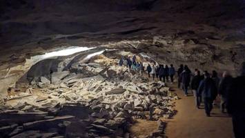 Neue Mini-Raubtierart entdeckt: Fossilienfund sorgt für Aufsehen