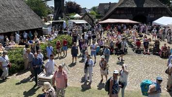 Erdbeerfest: Tausende Besucher feiern bei sengender Sonne