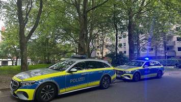 familien gehen in steilshoop aufeinander los – fast 100 schaulustige