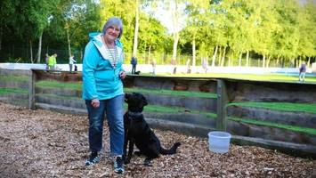 Retriever-Liebe: Hundeverein aus Norderstedt wächst und wächst