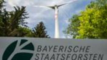 20 jahre staatsforsten: staatsforsten: naturschützer wollen mehr klima-resilienz