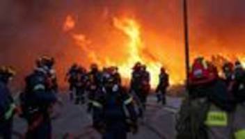 Griechenland: Feuerwehr kämpft gegen Waldbrände auf griechischer Insel
