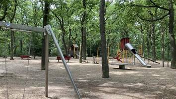 Eichenprozessionsspinner: Spandau warnt vor diesem Park