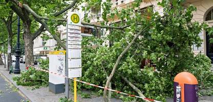 Berlin: Eine Tote und drei Schwerverletzte nach Sturmtief »Ziros«