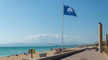 kloake statt „blaue flagge“: spaniens traumstrände in gefahr