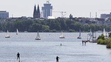 Naturkundemuseum: So kann der Einzug in den Elbtower funktionieren