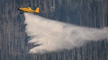 Waldbrand bei Goslar breitet sich weiter aus