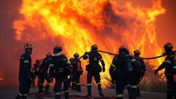Waldbrände auf griechischen Inseln: Behörden äußern Verdacht