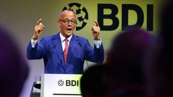 Friedrich Merz beim BDI: Ein Merz in der Brandung?