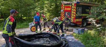 acht feuerwehren üben für den ernstfall: was passiert, wenn der wald brennt?