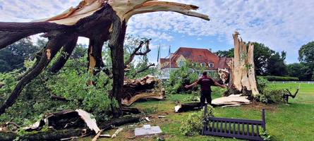 Unwetter in der Region Neuburg: Umgestürzte Bäume, vollgelaufene Keller, gesperrte Straßen