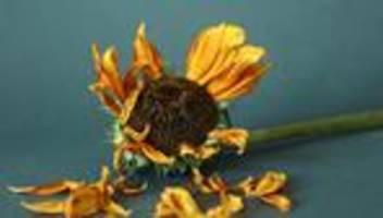 Haushaltsentwurf: Eben noch die Dealmaker, heute schon Randfiguren