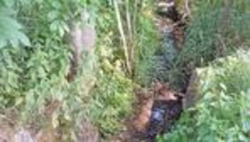 klima: wasserknappheit – entnahme aus gewässern verboten