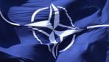 Militärbündnis: Wie funktioniert die Nato?