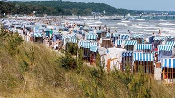 Vibrionen in der Ostsee: Das sollten Sie über diese Bakterien wissen