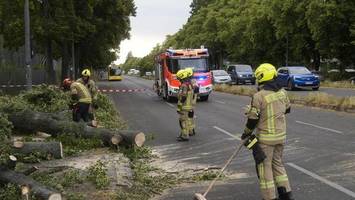 Nach dem Sturm: Umweltverwaltung warnt vor Betreten der Wälder