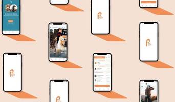 Verlässlich, liebevoll, lokal – wie eine App Hundebetreuung neu denkt