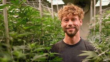 buxtehuder hanf: hier erntet ein hamburger club kiloweise cannabis