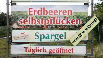 Gegen das Sattessen - Mindestabnahme auf dem Erdbeerfeld?