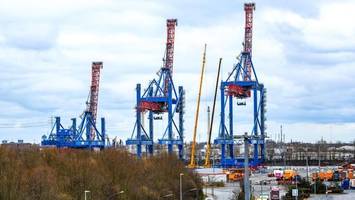 großeinsatz in altenwerder – mann klettert auf containerbrücke