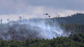 Waldbrand im Harz: Zahl der Einsatzkräfte wieder aufgestockt