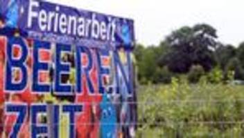 arbeit statt vergnügen: ferienjobs für schüler und firmen eine chance