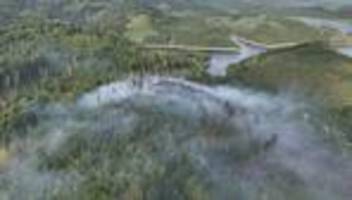 Feuer im Harz: Feuerwehr warnt: Waldbrand-Gebiet weiter nicht betreten