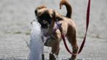 wetteraussichten: hohe temperaturen und gewitter in hessen erwartet