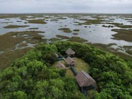 Alligator Alcatraz: USA errichten Abschiebe-Knast in Sumpflandschaft