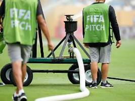 Rasen-Chef sorgt sich um 2026: Kaninchen-Ärger nervt nicht nur die Klub-WM