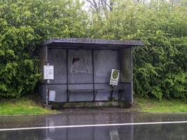 Öpnv: was pünktliche busse und bahnen kosten würden