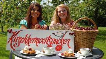 Altländer Kirschmarkt: Wenn ein malerisches Dorf zur Festmeile wird