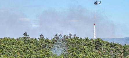 DWD gibt höchste Waldbrandgefahrenstufe aus – diese Regionen in Bayern sind betroffen