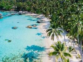 berlin tag & macht: temptation island mit merz' rasselbande: knietief im milliardenloch