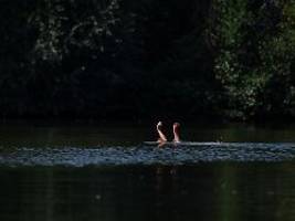 See, Meer, Fluss: Sechs typische Gefahren beim Baden und wie man sich schützt