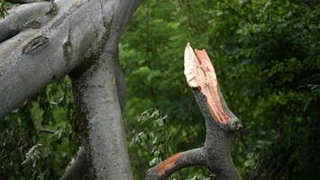 Angekündigte Unwetter: Stiftung warnt vor Betreten der Parks