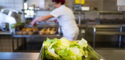 schulessen: eltern in baden-württemberg scheitern mit klage gegen vegetarische kost
