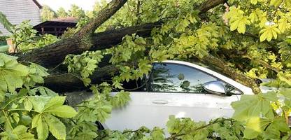 unwetter fegen über berlin, brandenburg und sachsen-anhalt