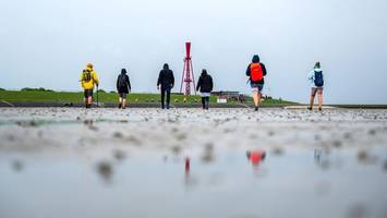 Kostenlose Führungen - Wattenmeer feiert Welterbegeburtstag