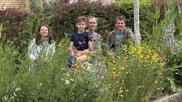 diese bergedorfer machen es vor: mit wildblumen leben retten