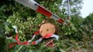 Aufräumarbeiten: Unwetter über Brandenburg: Potsdamer Parks geschlossen