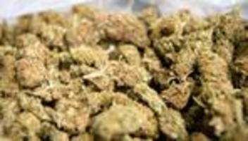 cannabis und kokain: zollhund erschnüffelt drogen im regionalzug