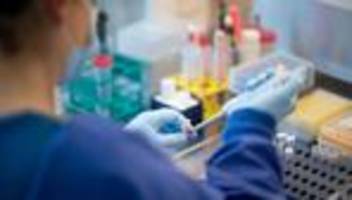 Coronavirus: WHO-Rat: China mauert - Ursprung des Coronavirus unklar