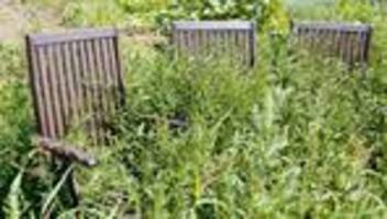 Platz der Republik: Wir müssen unseren Garten bestellen
