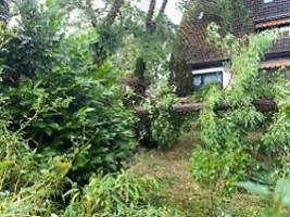 Unwetterwarnung aufgehoben: Berlin beklagt nach Sturm heftige Waldschäden