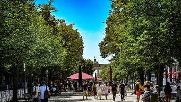 Kühle Stadt: Grüne wollen eine Million Bäume für Berlin