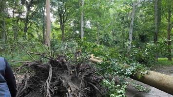 Nach Unwetter in Berlin: Bezirksamt warnt vor Betreten von Parks