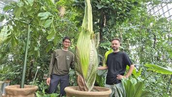 Tatort Botanischer Garten: Warum es dort nach Leichen riecht
